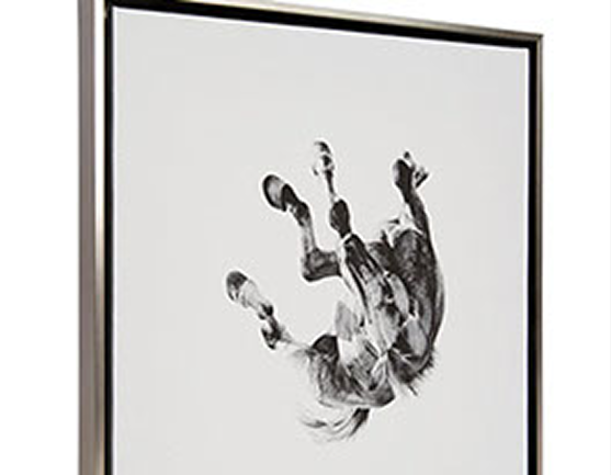 Custom Framing 1